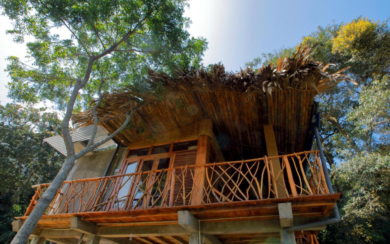 Bed and Breakfast The Winsome & Tree House Ella Exterior foto